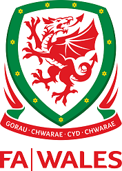 The FA Wales' dragon crest - Gorau Cwarae Cyd Chwarae